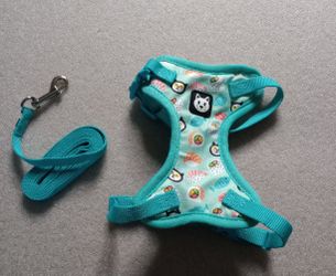 Cat Harness & Lease sets