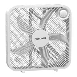 New Fan
