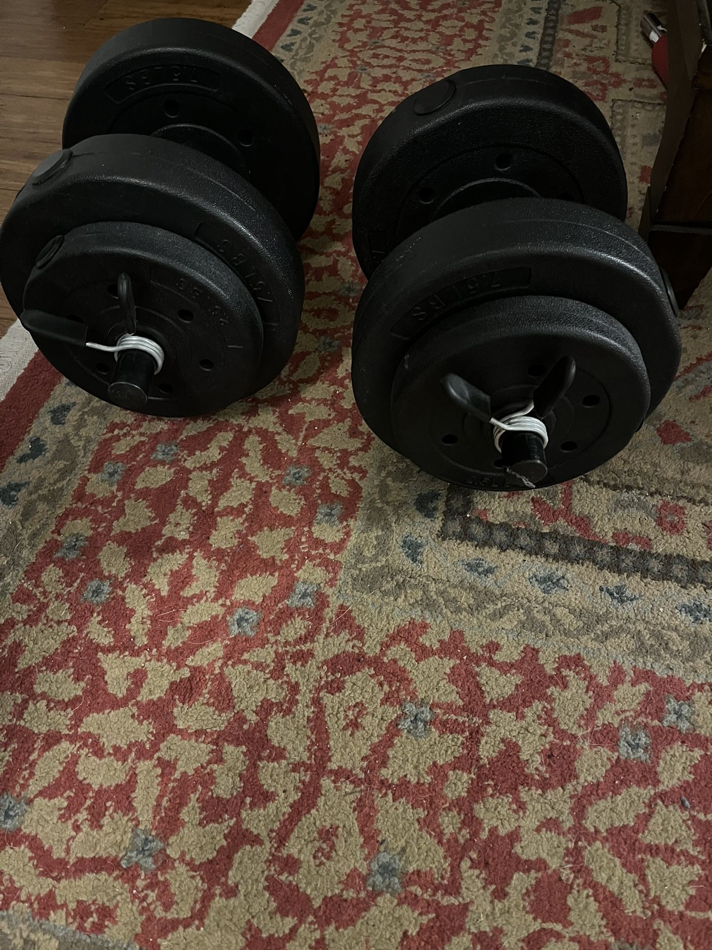 Dumbbell Weights