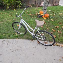 26in Beach Cruiser 