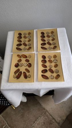 Antique Pecan Varieties Botanical Print Set of 4