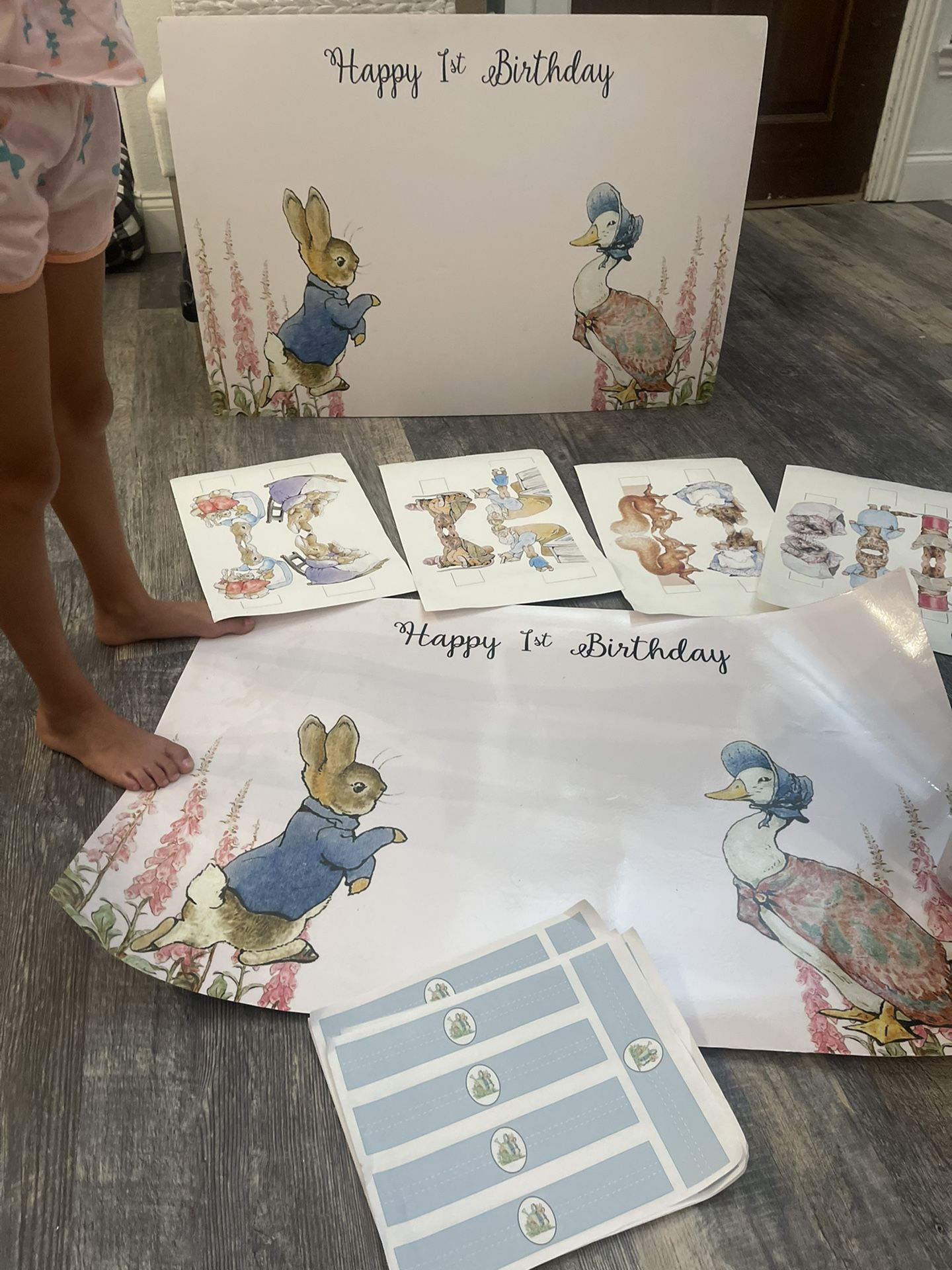 Peter Rabbit Party Decor 