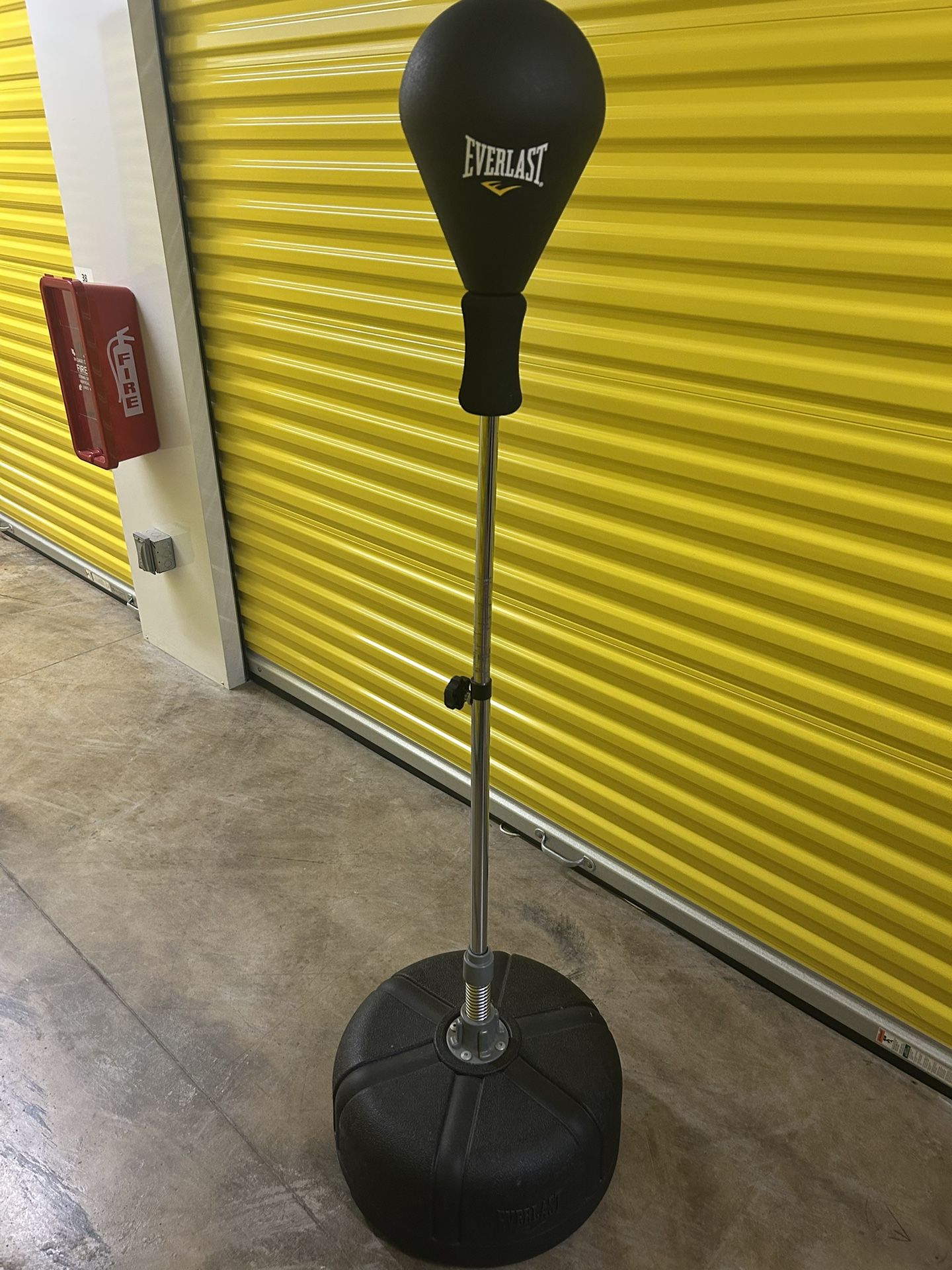 Everlast Punching Bag