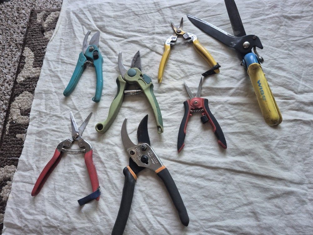 Shears And Prosisors