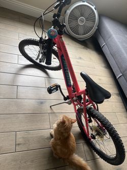 Nishiki Pueblo 20 Kids Mountain Bike