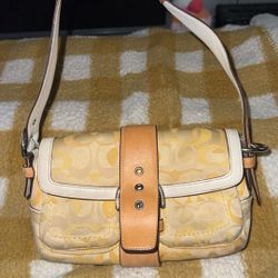 Vintage Coach Bag