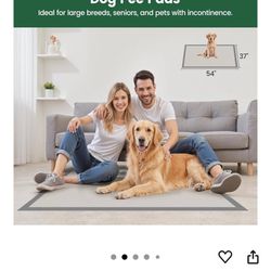 Xl Dog Pads 25 Count 