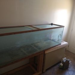 Fish Tank 125g