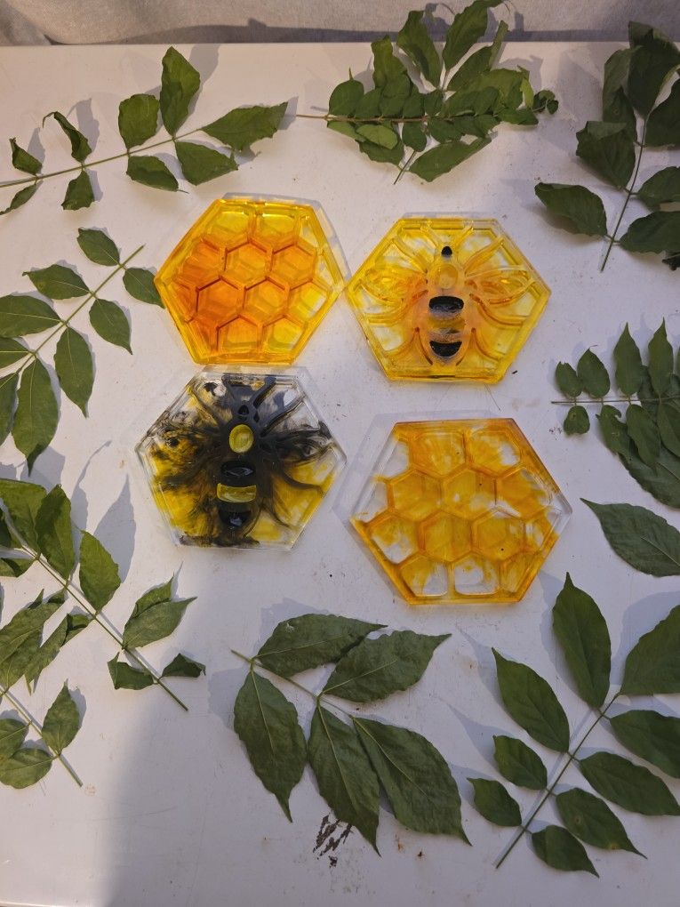Honeybee Coaster Set