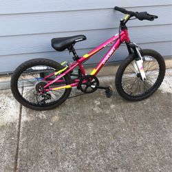 20” Mountain Bike,7speed