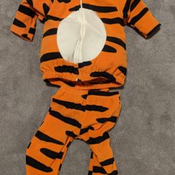 Halloween Costume - Tiger