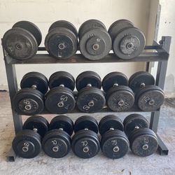 Commercial Prostyle Dumbbells With 2 Tier Rack 30-75 Lb sets