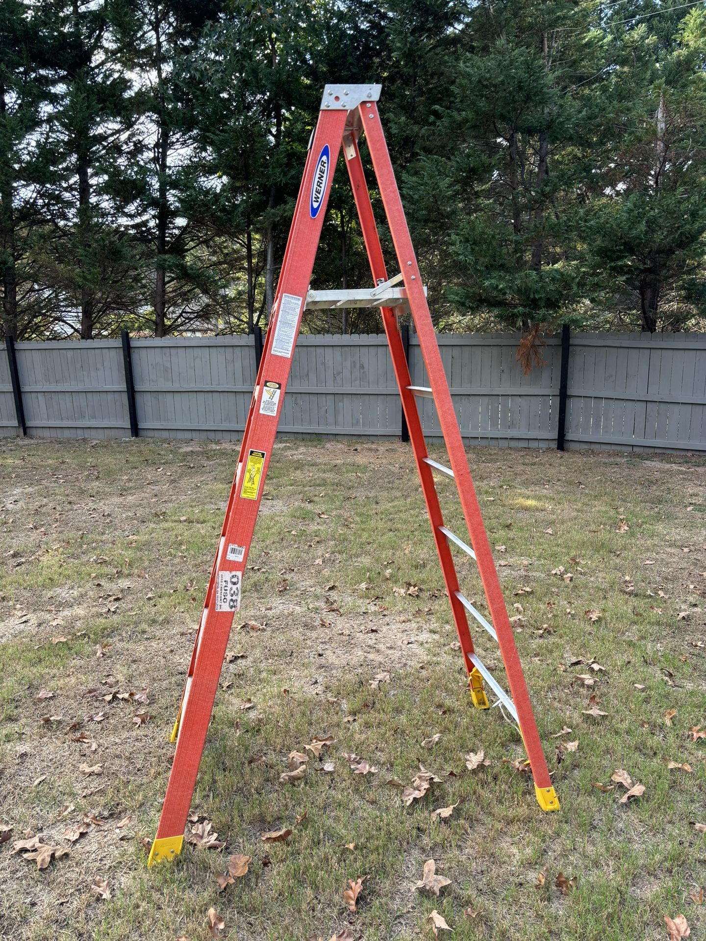 Platform Ladder
