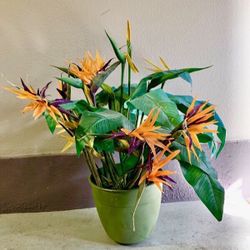 Flowers plant Greenery Strelitzia Bird Of Paradise Synthetic 