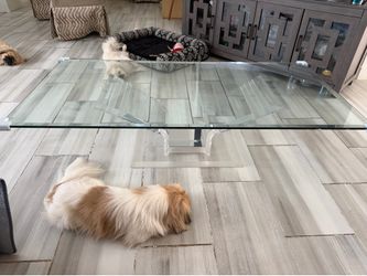 Glass with Acrylic Base Coffee Table