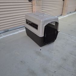 CHRISTMAS TRAVEL. Keep Your Pet Safe, While Traveling $125