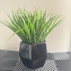 Artificial Plant