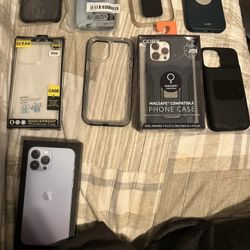 iPhone 13 Pro Max Cases 