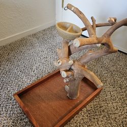 Tree Perch 