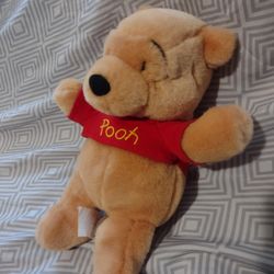 Talking Winnie The Pooh Plush