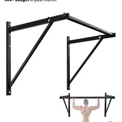 Wall Mount Pull Up Bar 