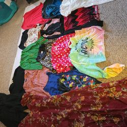 Womans Size Medium Bulk Lot Clothee Dresses Tops Shirts Jackets