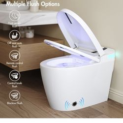 Smart Toilet, Eridanus One Piece Bidet Toilet for Bathrooms