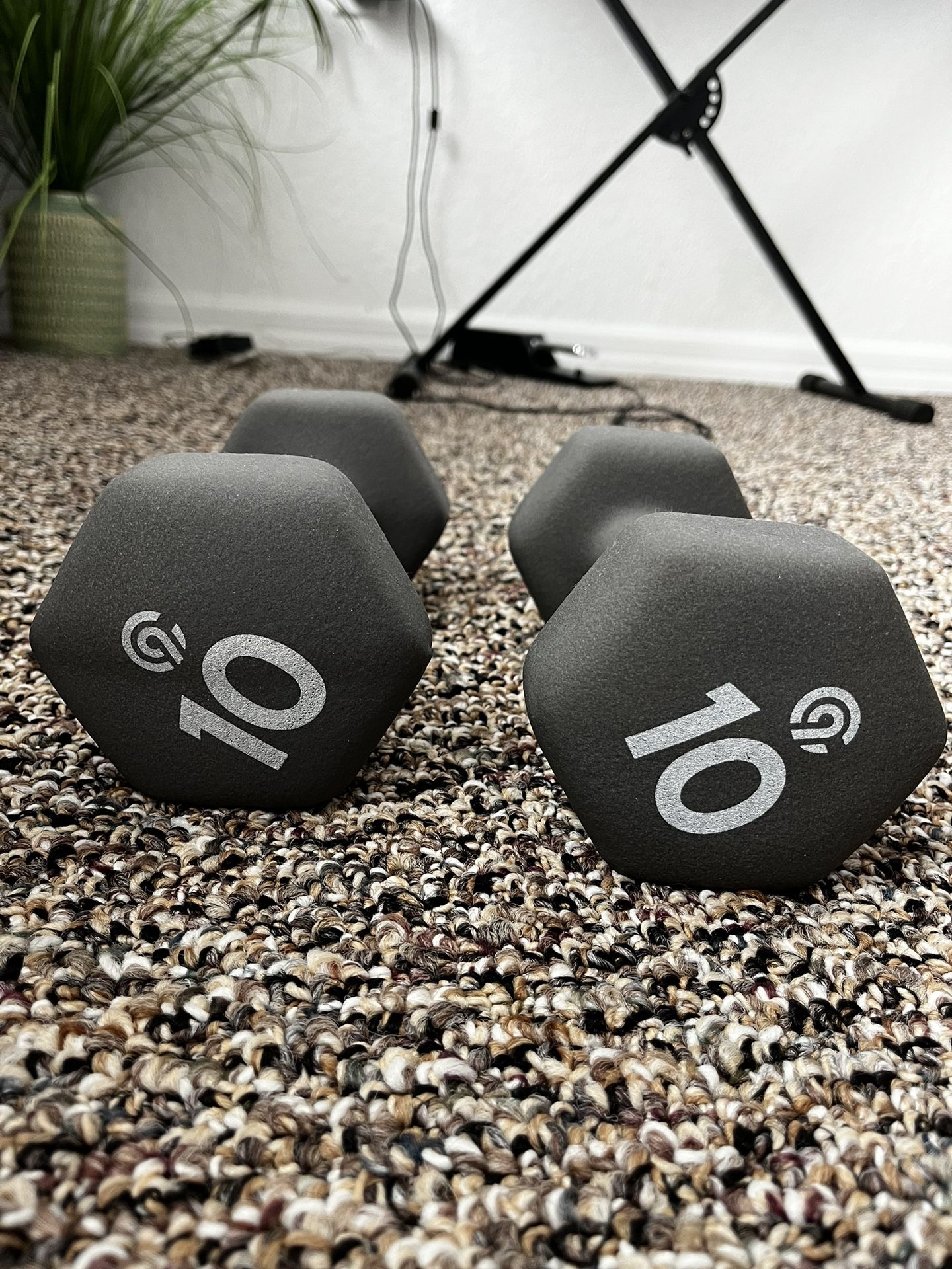 10lb Dumbbell Weights 