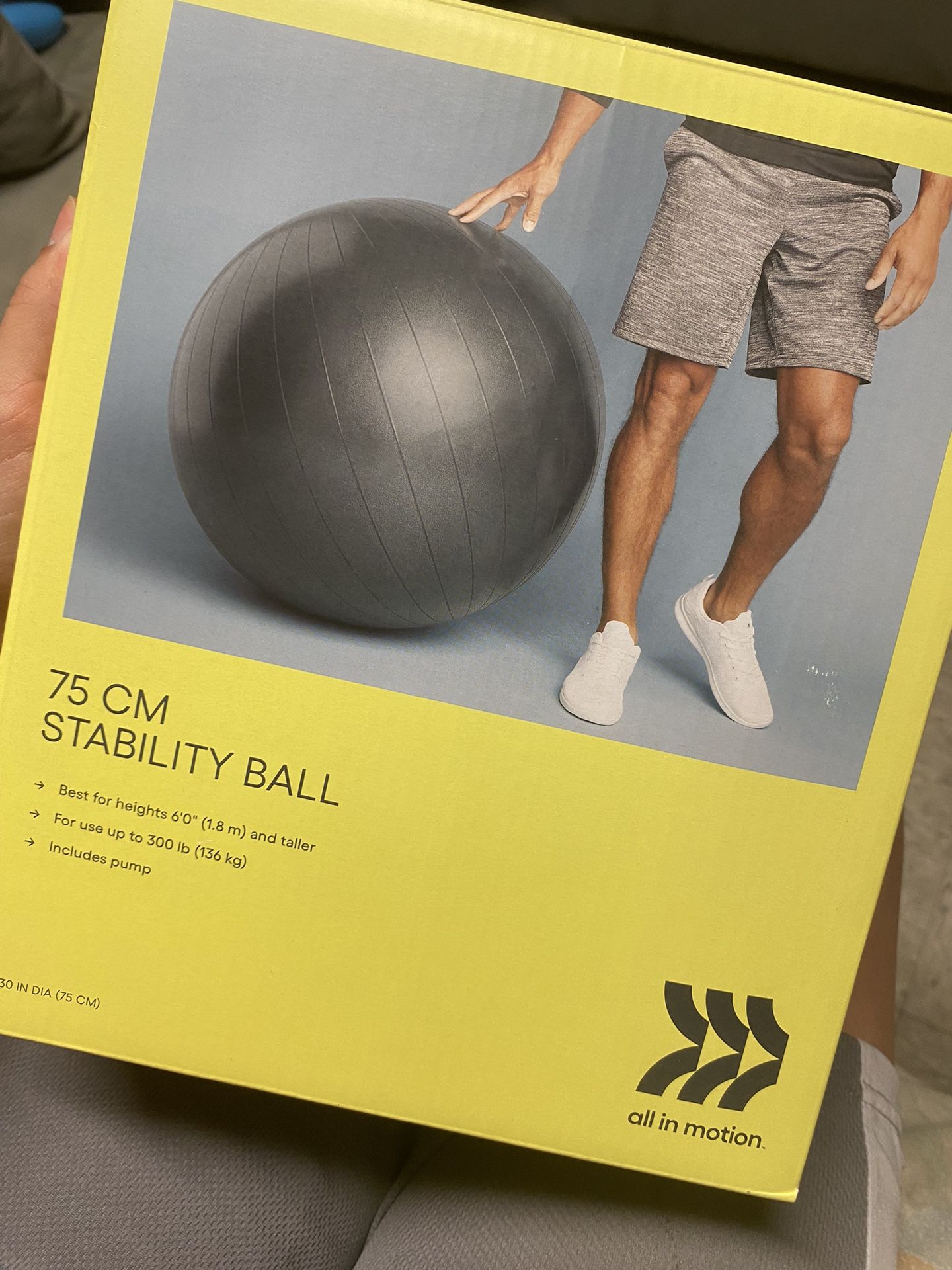 Yoga Ball With Pump