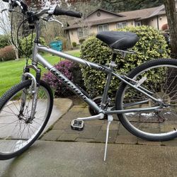 Raleigh SC 30 Bicycle 