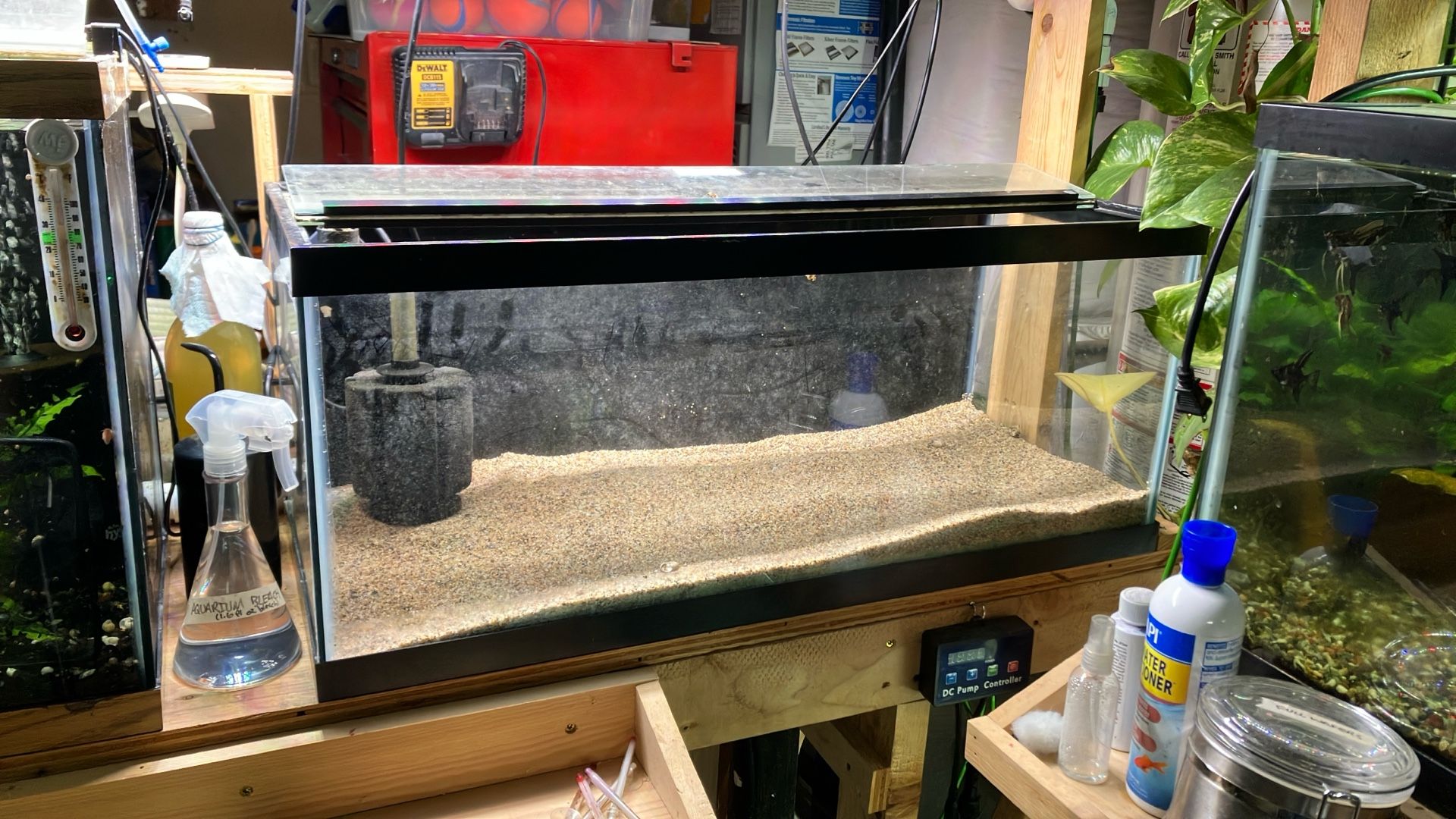 Drilled 20 Gallon Long Aquarium Fish Tank With Sponge Filter And Lid