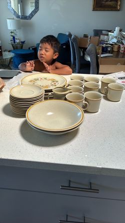 Vintage Stoneware Dinnerware Set with Floral Pattern
