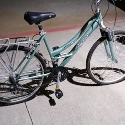 Schwin Bike