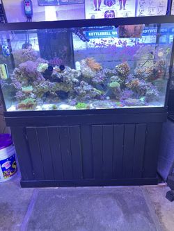 90 Gallon Reef Ready Set.