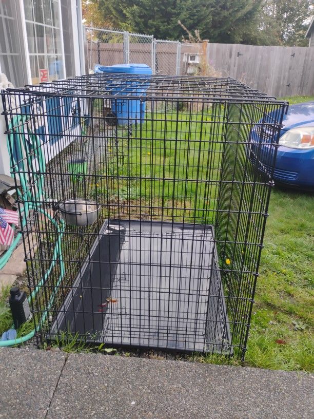 Dog Kennel