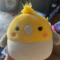 charlize the cockatiel squishmallow