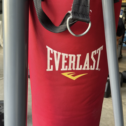 Everlast Punching Bag