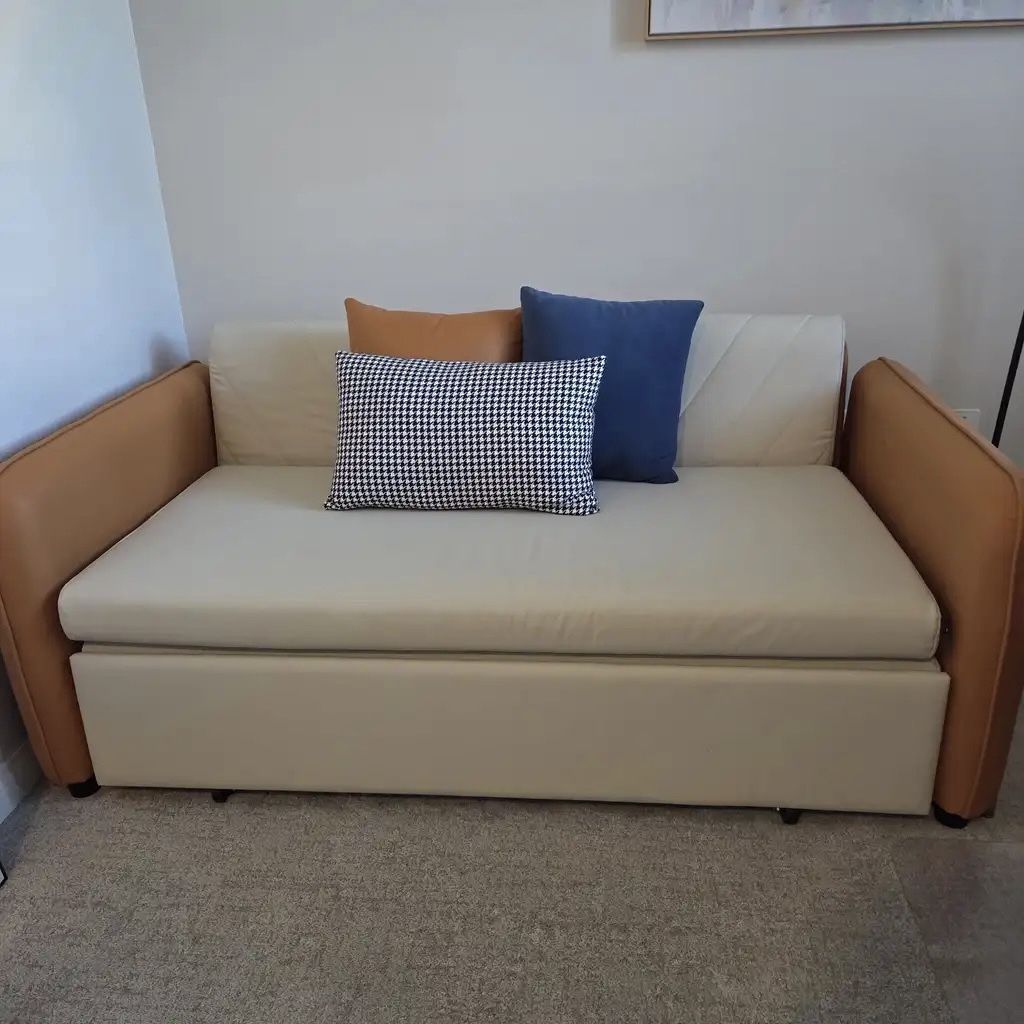 Modern Sofa bed