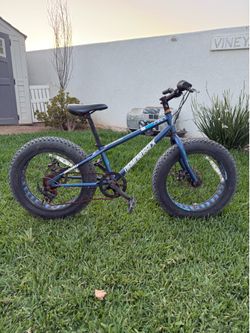 Diamondback El Oso Nino Fat Tire Bike