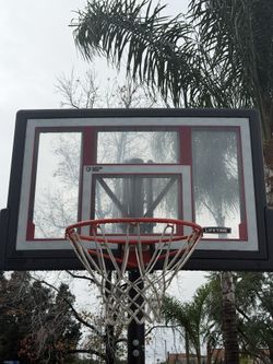 Lifetime Basketball Court