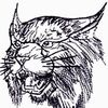 Bobcat