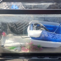 20 Gal Fish Tank 