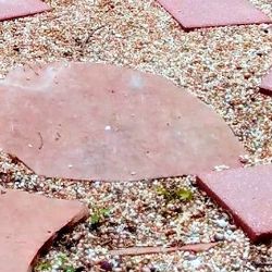 LARGE DECORATIVE LANDSCAPING ROCKS