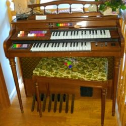 Organ and stool