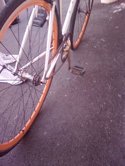 Fixed Gear Single Speed Bicycle