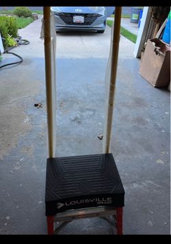 Louisville step ladder