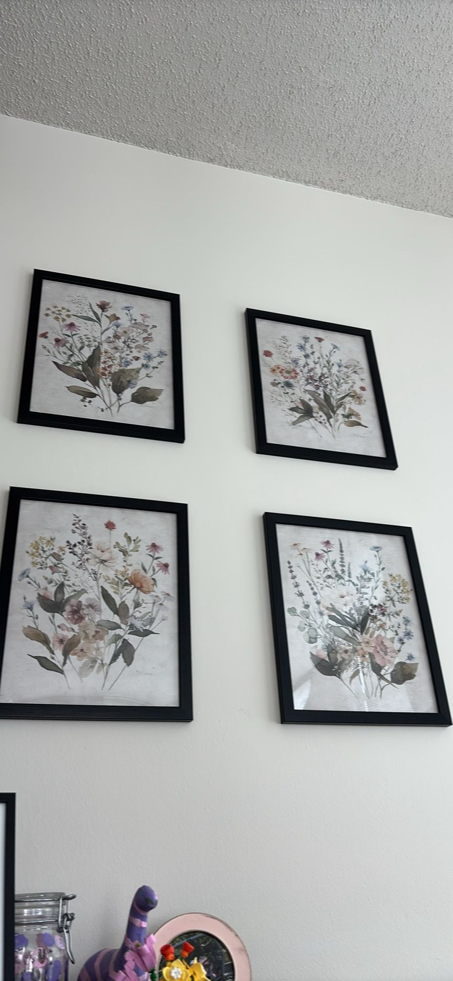 Set of 4 framed botanical prints