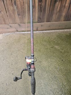 Abu Garcia Vandetta With Penn Fierce 