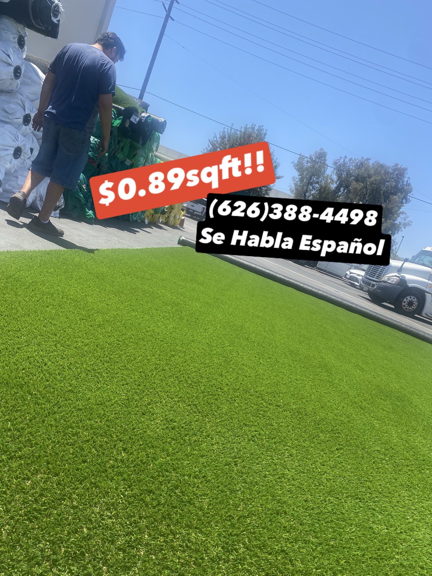Turf