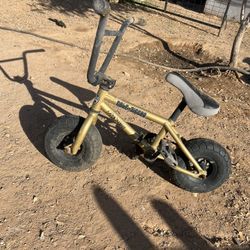 Rocker Irok Gold Digger Mini Bmx Bike